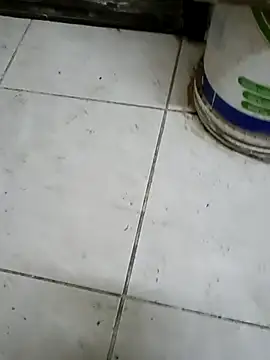 ConvoyedSubgroup webcam