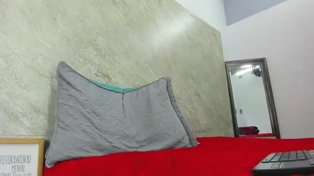 Mick-lollipop webcam