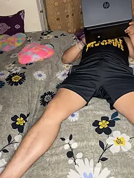 torchermachine webcam