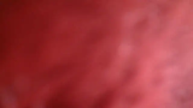 maxmueller321 webcam