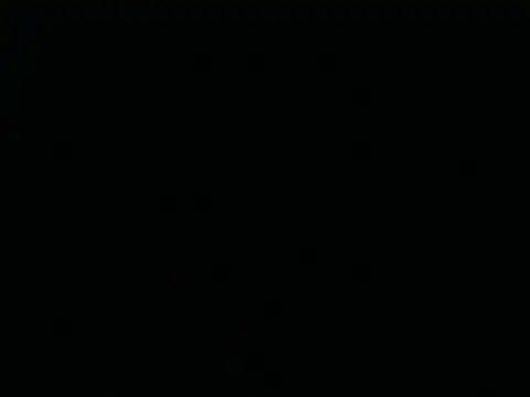 Tigerhill2023 webcam