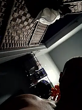 Preview of bimexpoexist