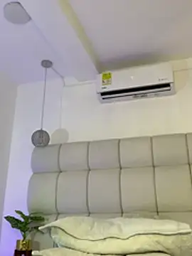 Alexa_Handler webcam