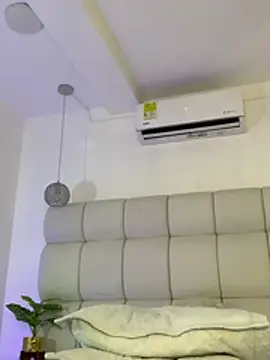 Alexa_Handler webcam