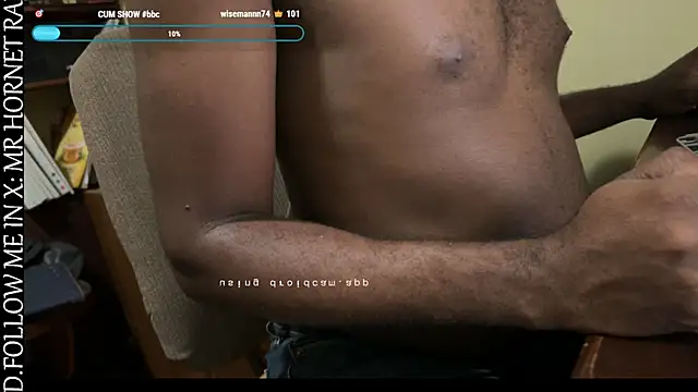 Mr_Hornet_Rad webcam