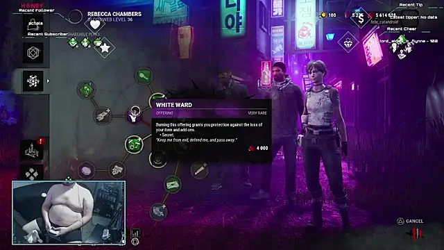 bottombeargaming webcam