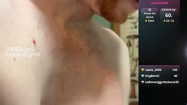Gingerxl8 webcam