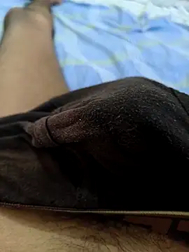 _Stripchat_Owner_ webcam