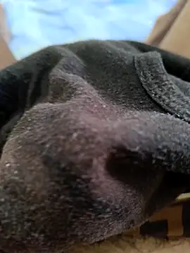 _stripchat_owner_ (M young) - Make me cum