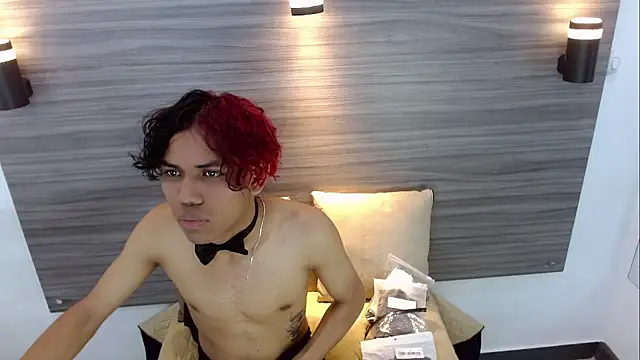 DaviidBuckx_ webcam