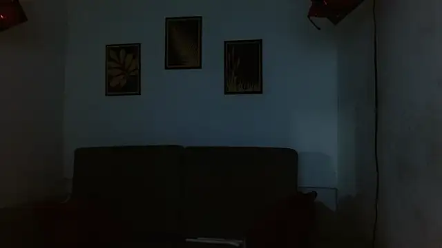 drake_laconte webcam