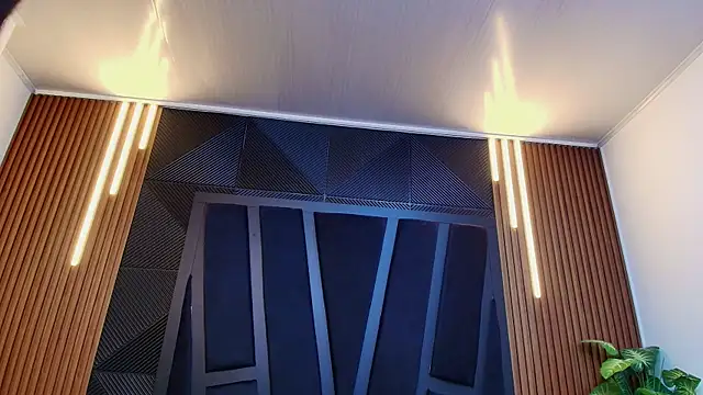 Oliver_Laurent_ webcam