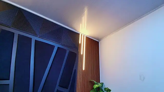 Oliver_Laurent_ webcam