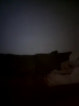 yourMasterisBored webcam