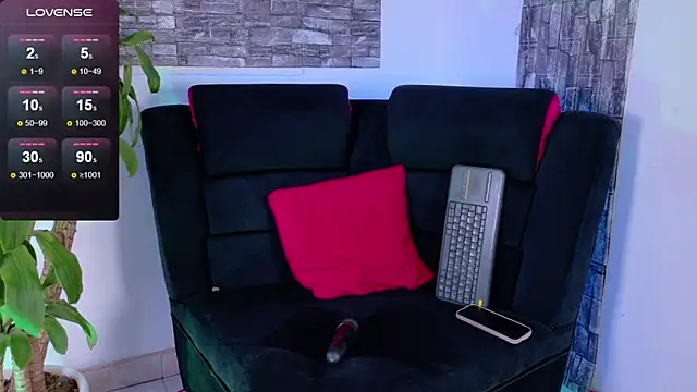 Arith_Sandoval_sc webcam