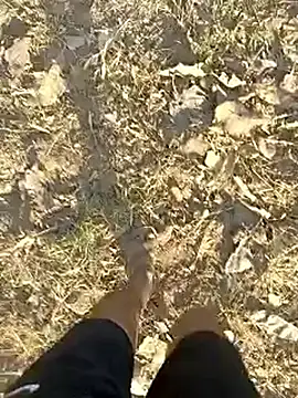 Forest_lover24's live cam