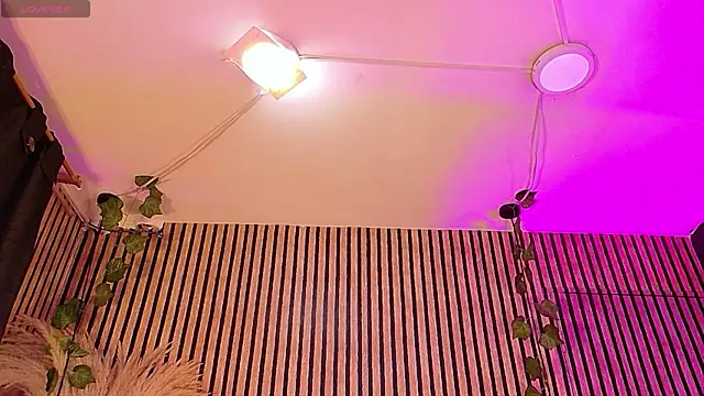 Hiddenhotcake webcam