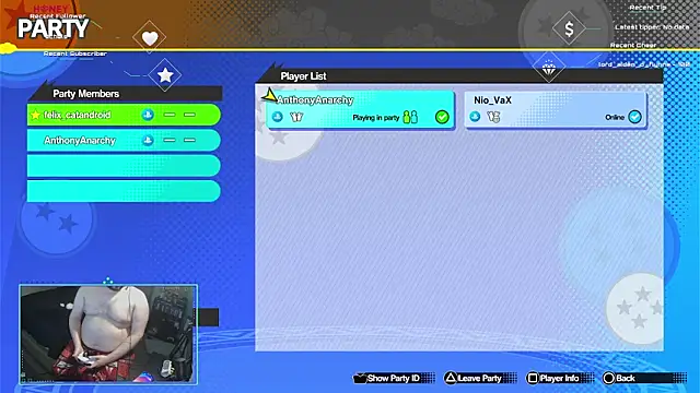 bottombeargaming webcam