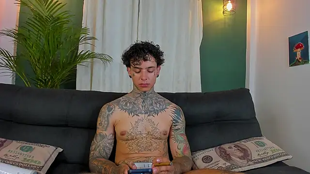 Aron_ford webcam