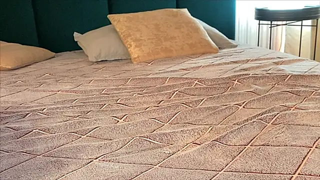 viviann_evans webcam