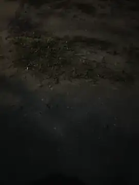 PublicMarekFlashDick webcam