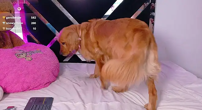 CatalinaSmith1 webcam