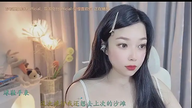 facai-feifei webcam