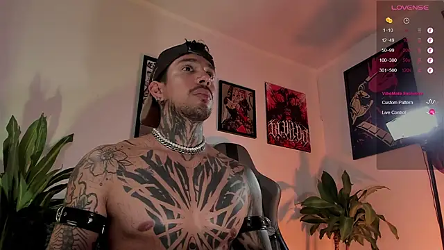 TigerStripes1_ webcam