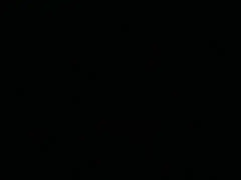 Tigerhill2023 webcam