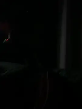 Team_Pedro3003 webcam