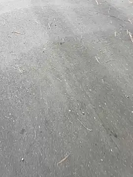 stallone_italiano_62 webcam