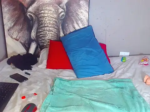 CocoBlazerx76 webcam