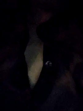 LovelyAuspices webcam