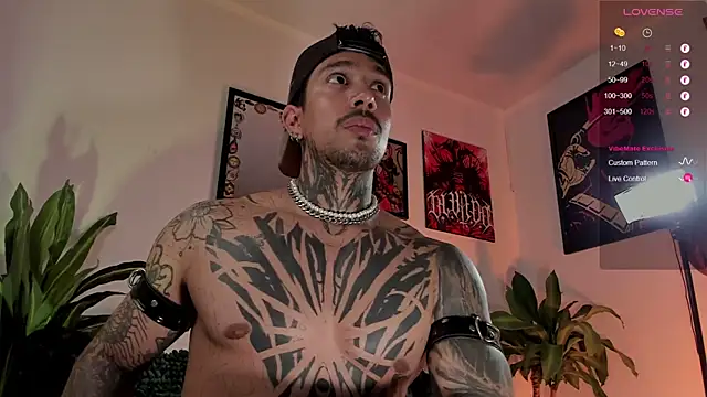 TigerStripes1_ webcam