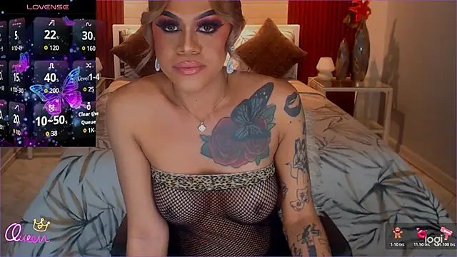 StellaStrong30 webcam