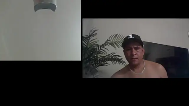 Mifavorito2024 webcam