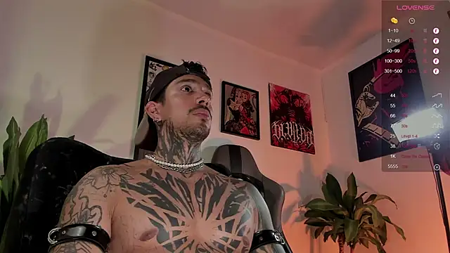 TigerStripes1_ webcam