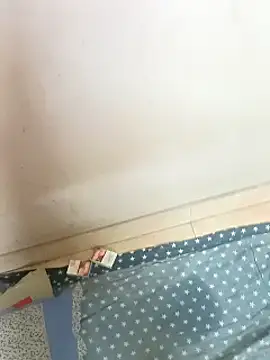 Rupok_dulavai webcam