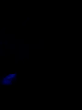 A33destroyer2 Live Webcam on Stripchat