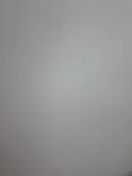 salome_drasin webcam