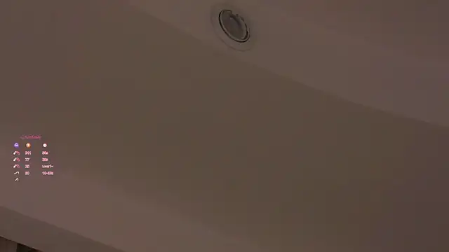 AunclreaVache webcam