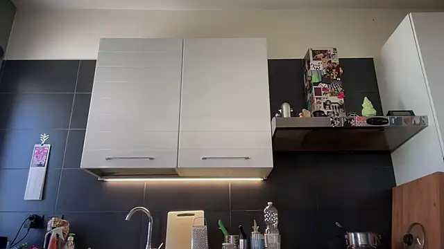 theitalianbear webcam