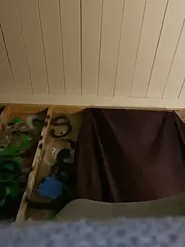 GusanoDelicioso webcam