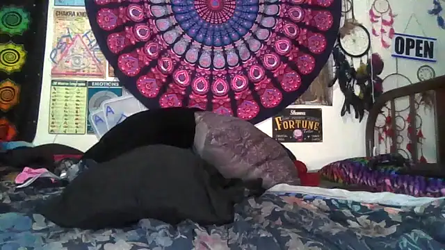 GardeniaFields webcam