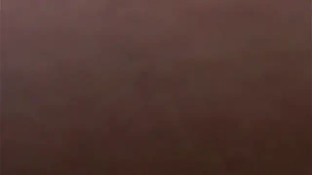 WiloneBoardley webcam