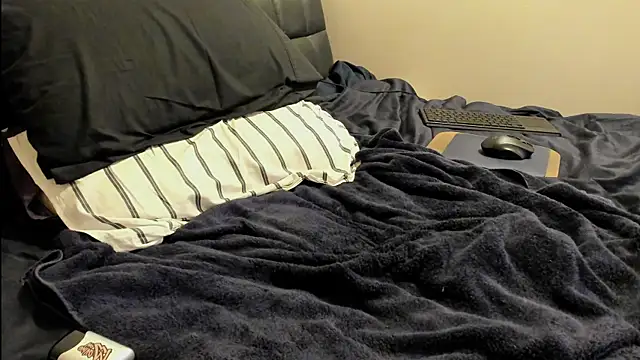 toolmaster2000 webcam