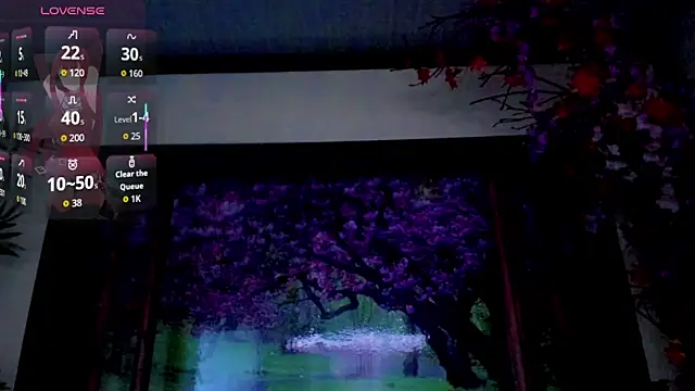 britanny_noroeste webcam