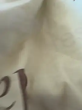 twankletoes1234 webcam