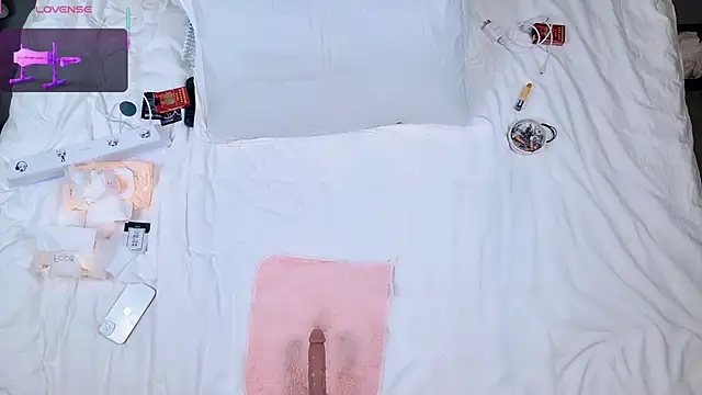 美女DoDo-2026在线直播