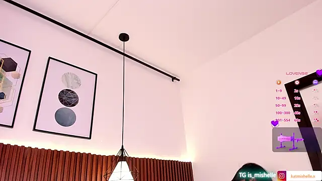 _mishelle webcam